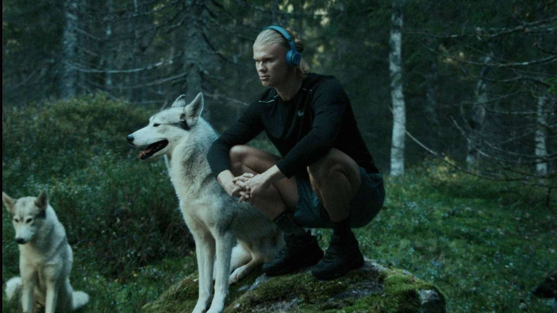 健康的舆论 健康的舆论